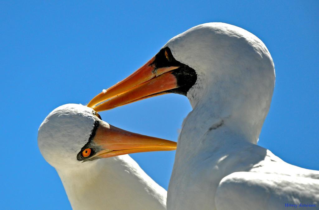 巴克里索莫雷诺港Galapagos Eco Friendly住宿加早餐旅馆 外观 照片